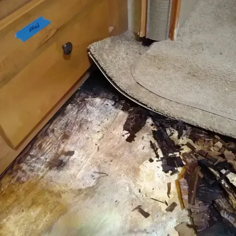 Best Wood Floor Water Damage Service in Hartley, CA